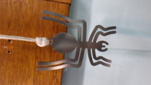 spider (5)